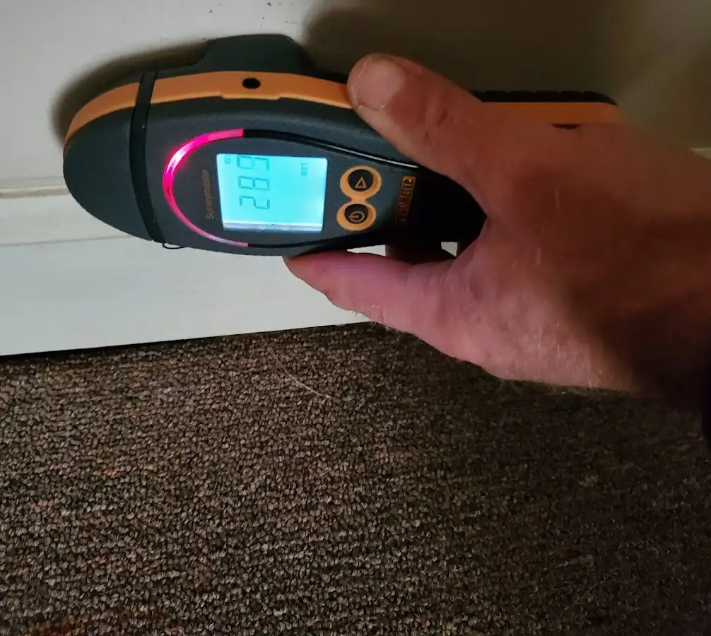 Moisture detection at baseboard during Sewage Cleanup & Sanitation in Bethlehem